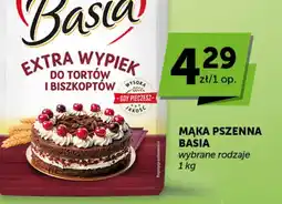 Groszek Mąka pszenna Basia oferta