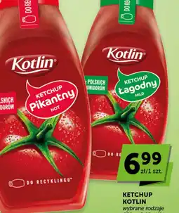 Groszek Ketchup Kotlin oferta