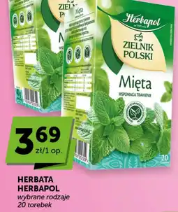 Groszek Herbata Herbapol Mięta oferta