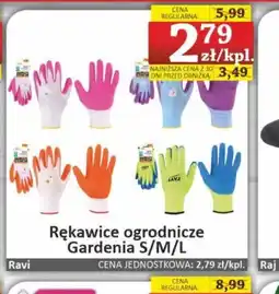 Marmax Rękawice ogrodnicze Gardenia oferta