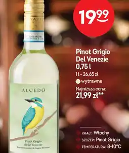 Żabka Alcedo Pinot Grigio Del Venezie oferta