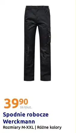 Action Spodnie robocze Werckmann oferta