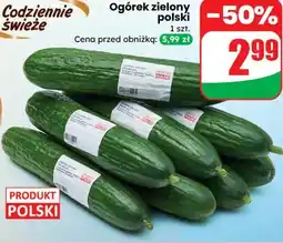 Dino Ogórek zielony polski oferta