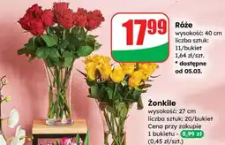 Dino Róże wysokość 40 cm, 11 sztuk/bukiet oferta