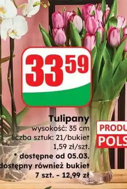 Dino Tulipany wysokość 35 cm, 21 sztuk/bukiet oferta