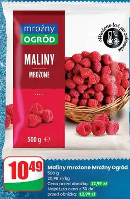 Dino Maliny mrożone Mroźny Ogród oferta