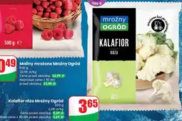 Dino Kalafior róża Mroźny Ogród oferta