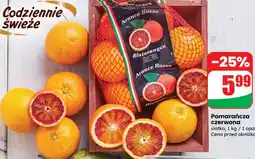 Dino Pomarańcza czerwona oferta