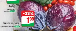 Dino Kapusta czerwona oferta