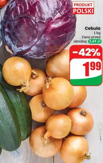 Dino Cebula oferta