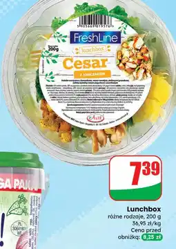 Dino Lunchbox różne rodzaje oferta