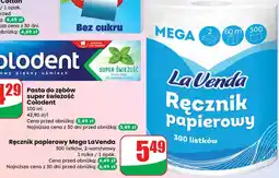 Dino Ręcznik papierowy Mega LaVenda oferta