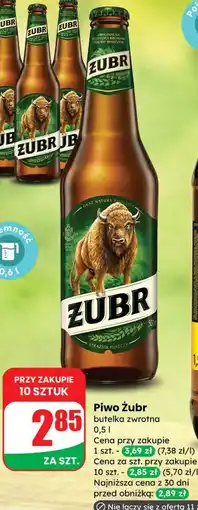 Dino Piwo Żubr oferta