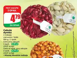 Dino Cebula dymka czerwona / biała oferta