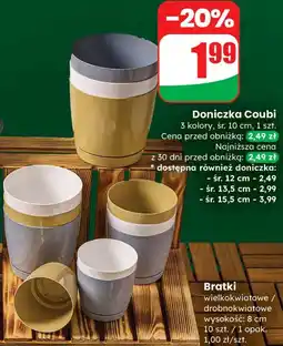 Dino Doniczka Coubi śr. 10 cm oferta