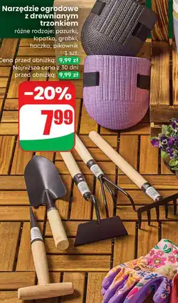 Dino Narzędzie ogrodowe z drewnianym trzonkiem (różne rodzaje) oferta