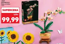 Kaufland LEGO BOTANICALS Mała orchidea 10343 oferta