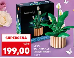 Kaufland LEGO BOTANICALS Skrzydłokwiat 11504 oferta