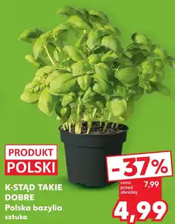 Kaufland Polska bazylia oferta