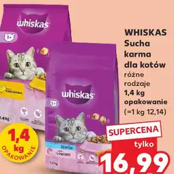 Kaufland WHISKAS Sucha karma dla kotów różne rodzaje 1,4 kg opakowanie oferta
