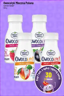 Polomarket Owocołyk Mleczna Polana wybrane rodzaje oferta