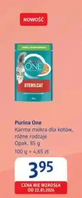 dm drogerie markt Karma mokra dla kotów, różne rodzaje oferta