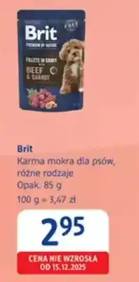 dm drogerie markt Karma mokra dla psów, różne rodzaje oferta
