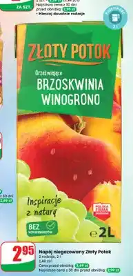 Dino Napój niegazowany Złoty Potok 2 rodzaje oferta