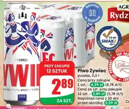 Dino Piwo Żywiec puszka oferta