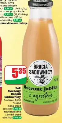 Dino Sok tłoczony jabłko z agrestem oferta