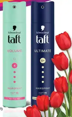 Dino Lakier do włosów różne rodzaje oferta