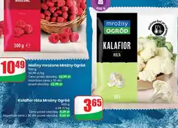 Dino Kalafior róża oferta