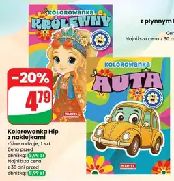 Dino Kolorowanka Hip z naklejkami różne rodzaje oferta