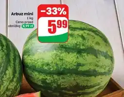 Dino Arbuz mini oferta