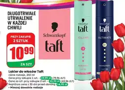 Dino Lakier do włosów Taft Volume oferta