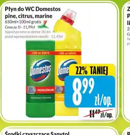 Hala Wola Płyn do WC Domestos oferta