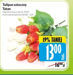 Hala Wola Tulipan sztuczny Tatan oferta