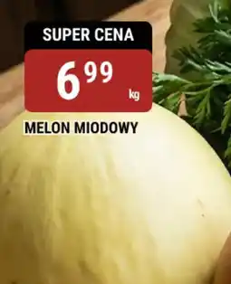 bi1 Melon miodowy oferta