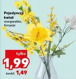 Kaufland Pojedynczy kwiat oferta
