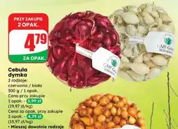 Dino Cebula dymka oferta