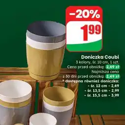 Dino Doniczka Coubi oferta