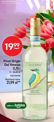 Żabka Wino Pinot Grigio Del Venezie wytrawne oferta