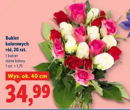 Lidl Bukiet kolorowych róż oferta