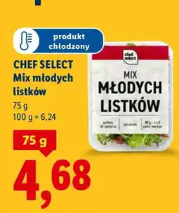 Lidl Mix młodych listków oferta
