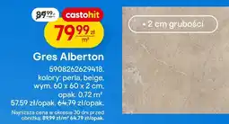 Castorama Gres Alberton oferta
