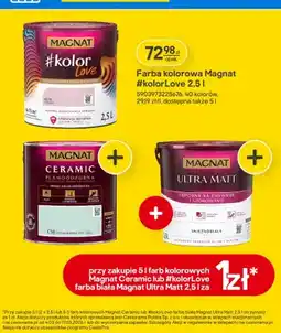 Castorama Farba kolorowa #kolorLove oferta