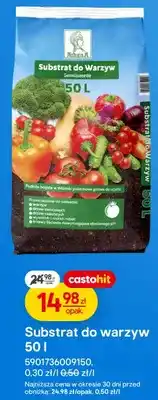 Castorama Substrat do warzyw oferta