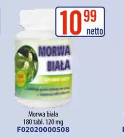 AT Morwa biała oferta