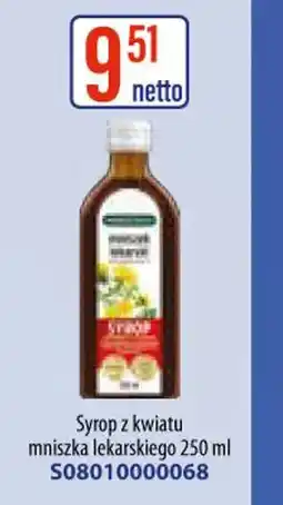 AT Syrop z kwiatu mniszka lekarskiego oferta