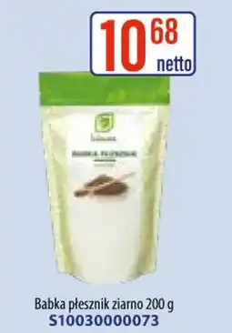 AT Babka płesznik ziarno oferta